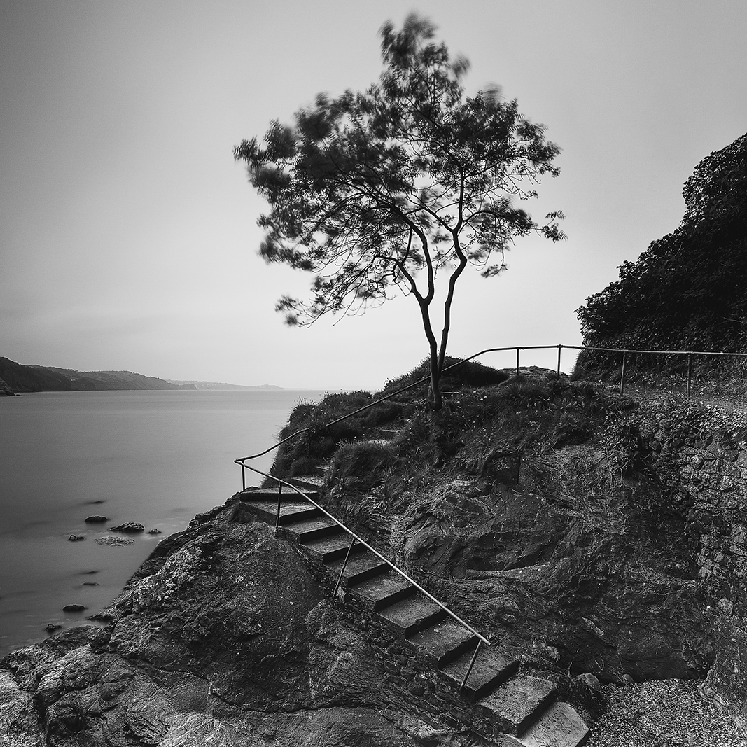 Steps
